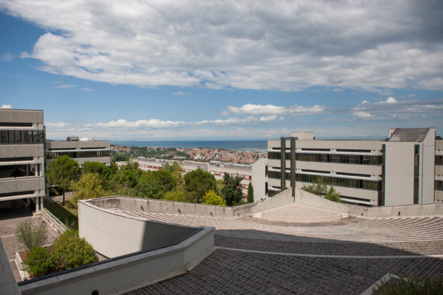 Polytechnic University of Marche